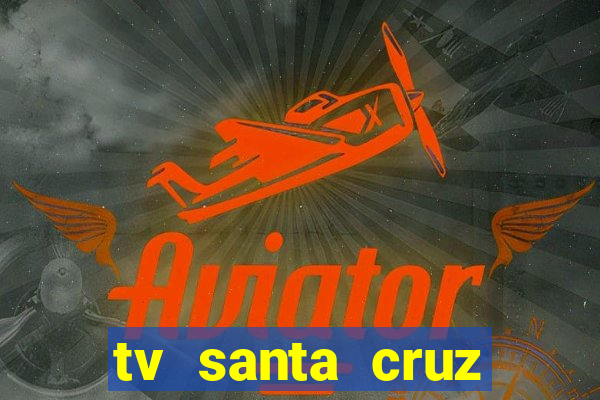 tv santa cruz bahia meio dia ao vivo